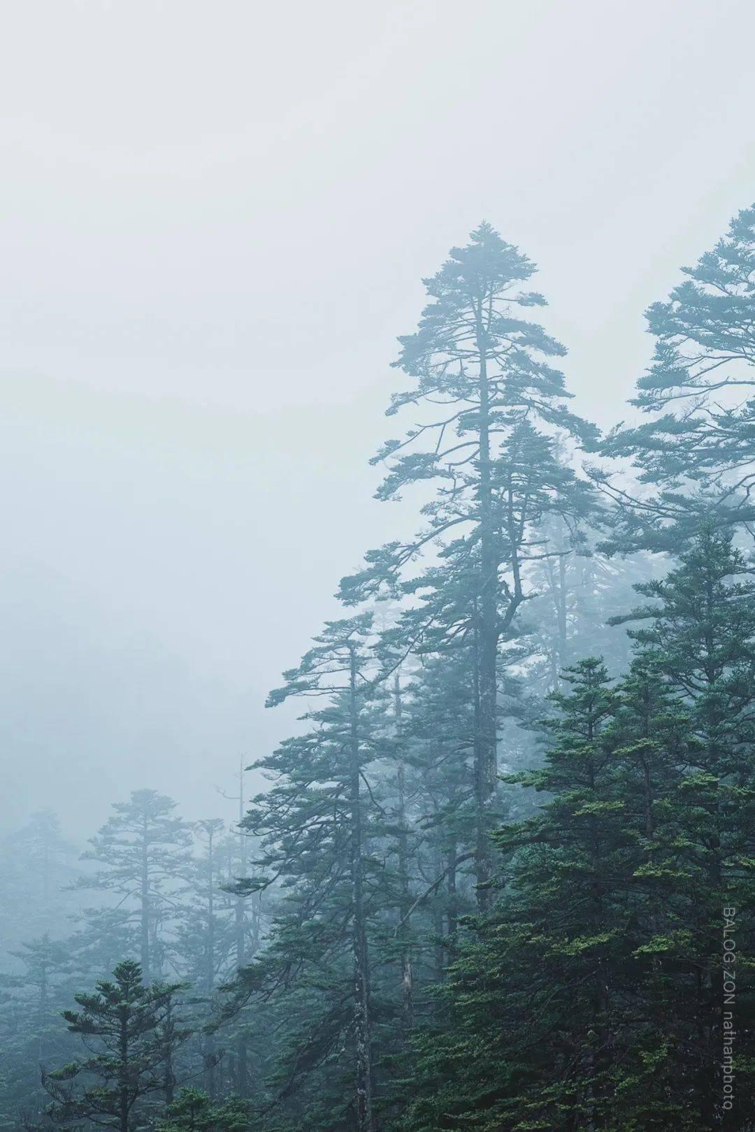 逛北镇大集 寻找过年记忆